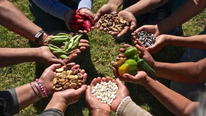 Gremios agrarios proponen ley para proteger semillas nativas y alimentación de los peruanos