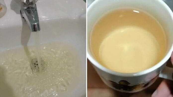 Puno: Agua de color verde es segura para consumo humano asegura EMSA Puno