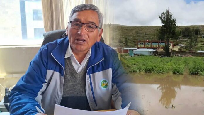 Más de 1,200 cultivos afectados en Puno, producción de papa lidera las pérdidas