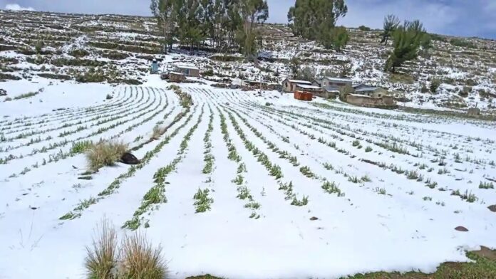 Alerta de nevadas y granizadas en Puno: Se pronostica acumulación de hasta 9 cm de nieve