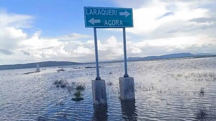 Familias aisladas y sin ayuda en Puno tras desborde de ríos que arrasó pastizales y tierras