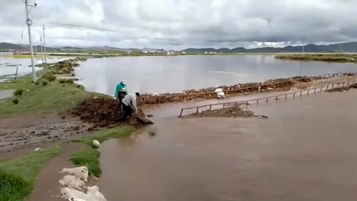 Advierten contaminación en cultivos y viviendas por relaves mineros tras desborde del Río Coata