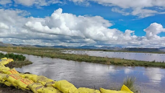 Más de 200 familias aisladas por desborde de ríos en Puno claman ayuda urgente