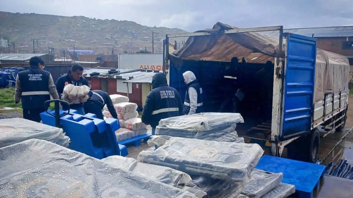 Lluvias en Puno matan ganado y amenazan producción pecuaria, advierte experto