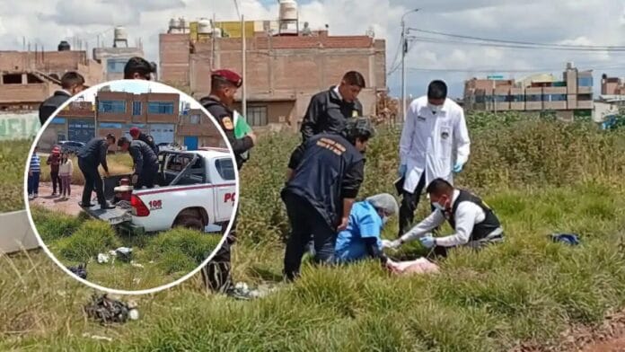 Hallan cuerpo de mujer con signos de violencia en pastizal de Juliaca