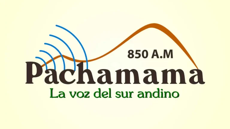 Logo pacha seo