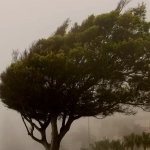 Vientos de 43 km/h soportará la región Puno hoy 11 de septiembre