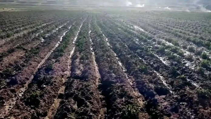 Heladas en Puno
