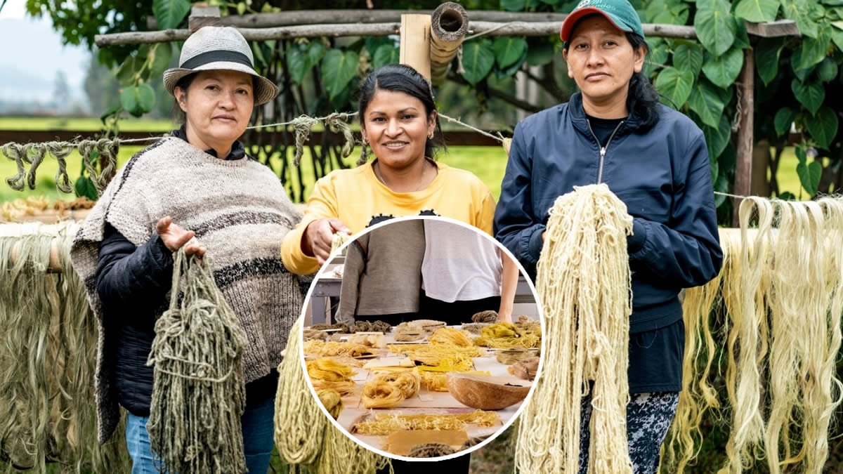 transforman estigmatizada hoja de coca en pigmento creativo