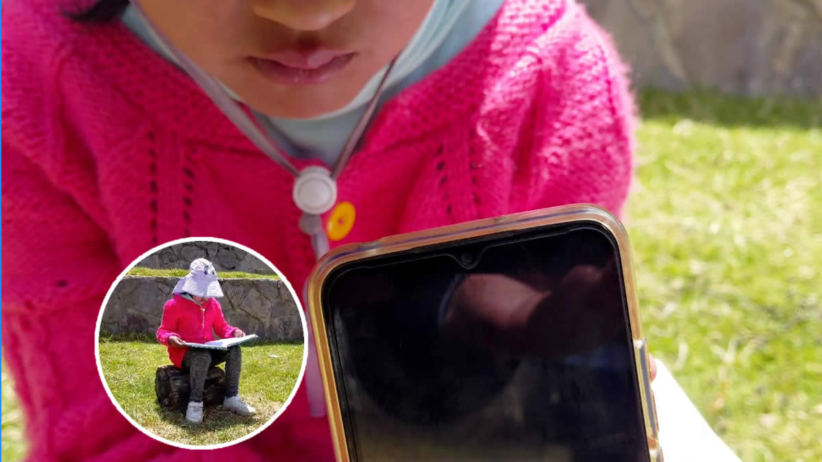 roban el sueño del internet en la región Puno