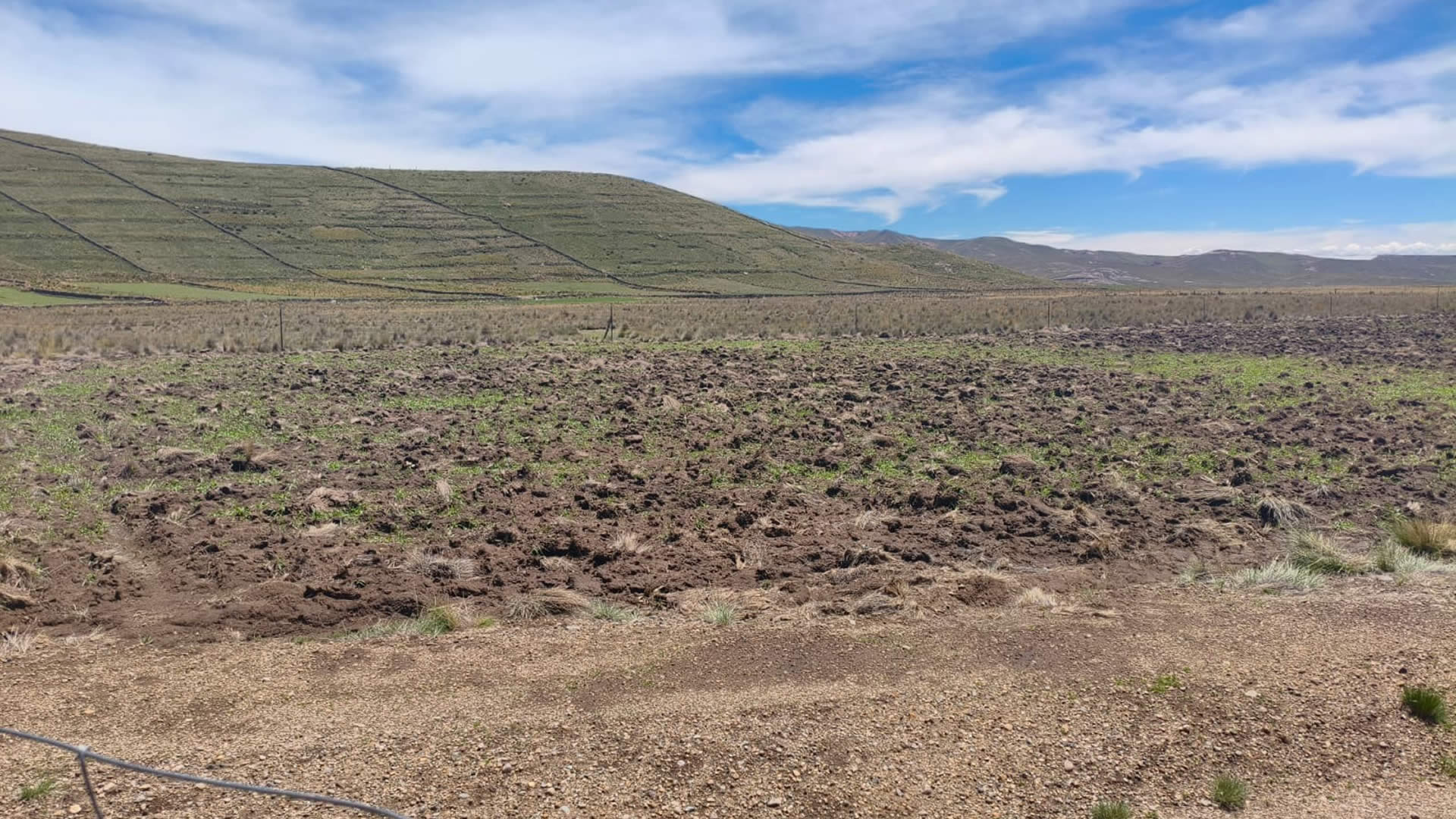 Heladas leves afectarán a Puno desde el primero de junio