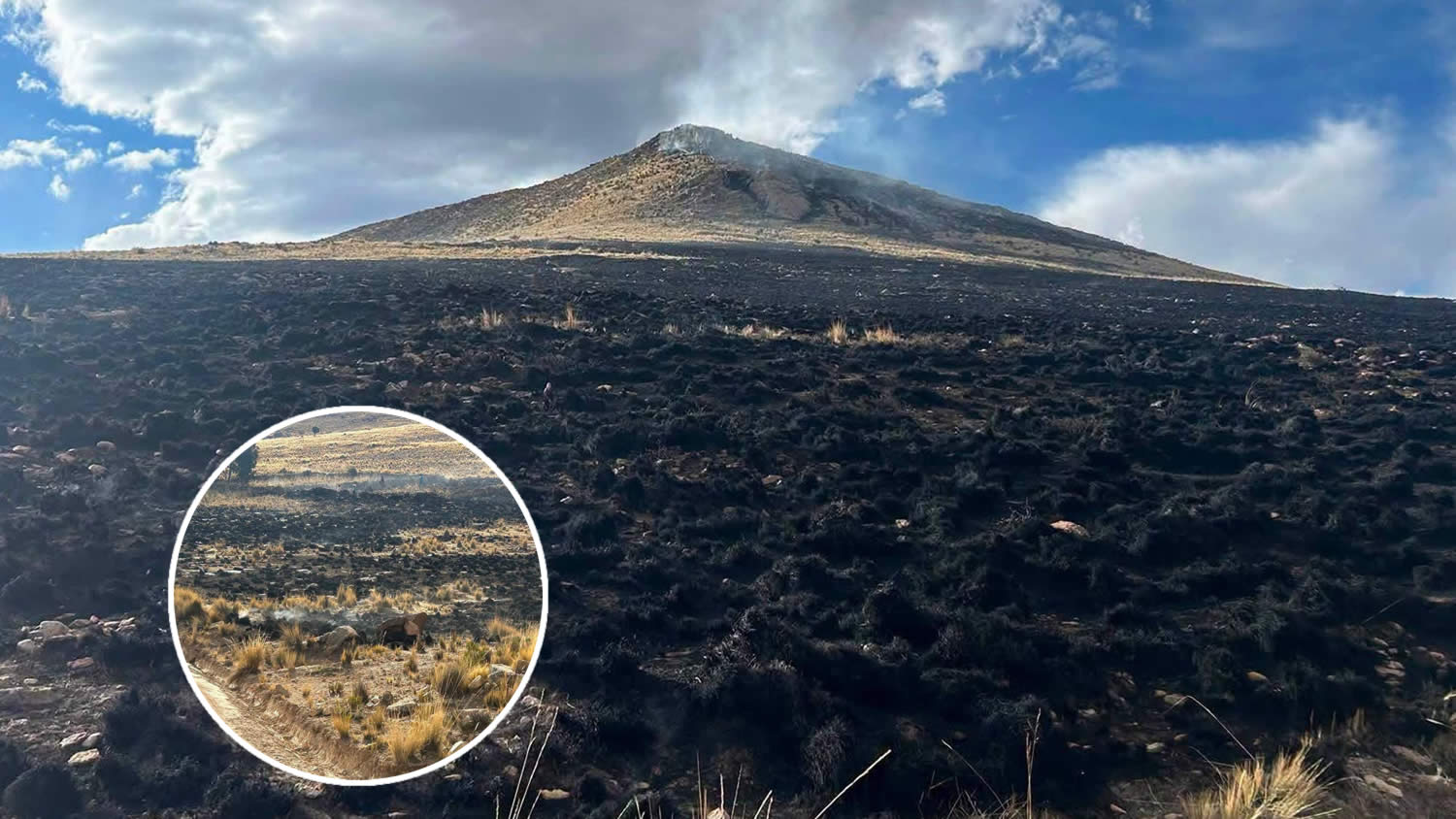 Azángaro: Incendio forestal arrasa con hectáreas de terrenos en comunidad de Huayllacunca